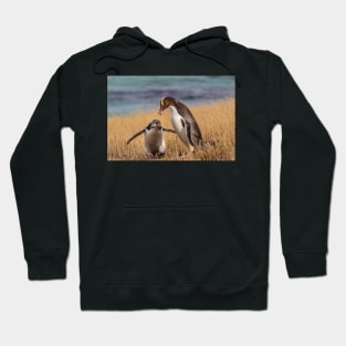 Anticipation Hoodie